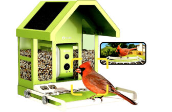 Birdfy Smart Bird Feeder