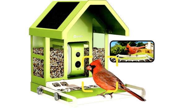 Birdfy Smart Bird Feeder