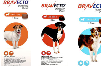 Bravecto for Large Dogs