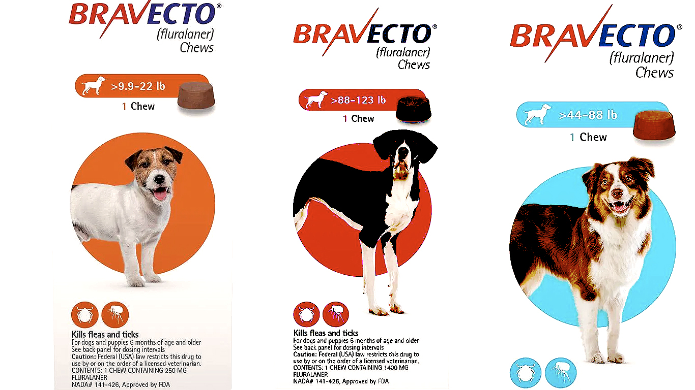 Bravecto for Large Dogs 44-88lbs (Blue)