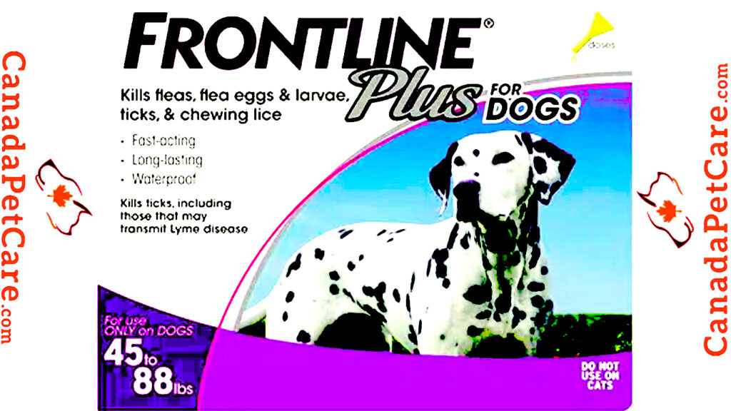 Frontline Plus for Large Dogs