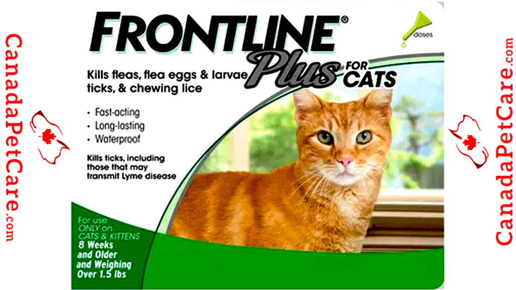 Frontline Plus for Cats