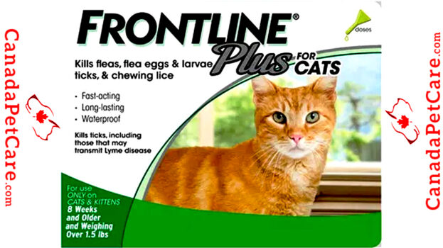 Frontline Plus for Cats