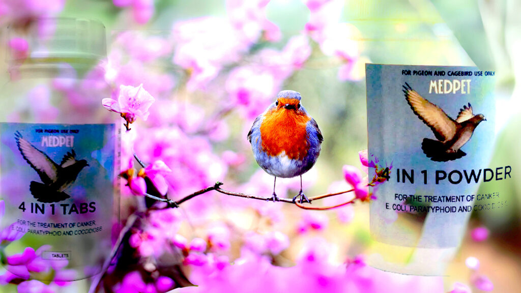 Medpet 4 In 1