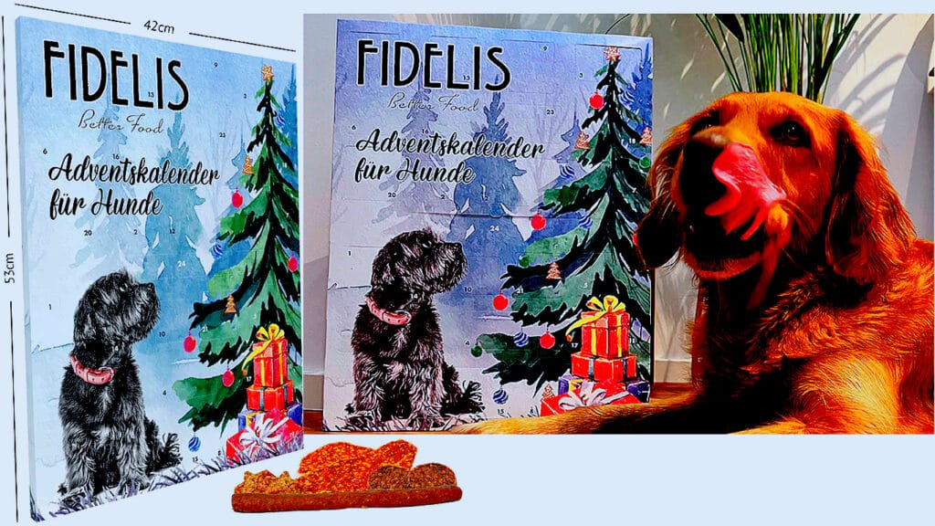XL Advent Calendar for Dogs