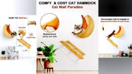 Cat Wall Shelves with Step