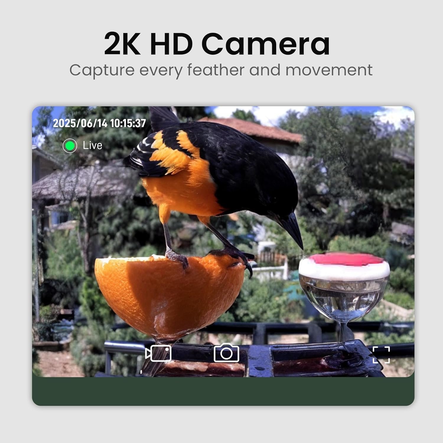 Smart Bird Feeder with Camera Solar Powered 2K HD Video - Image 2