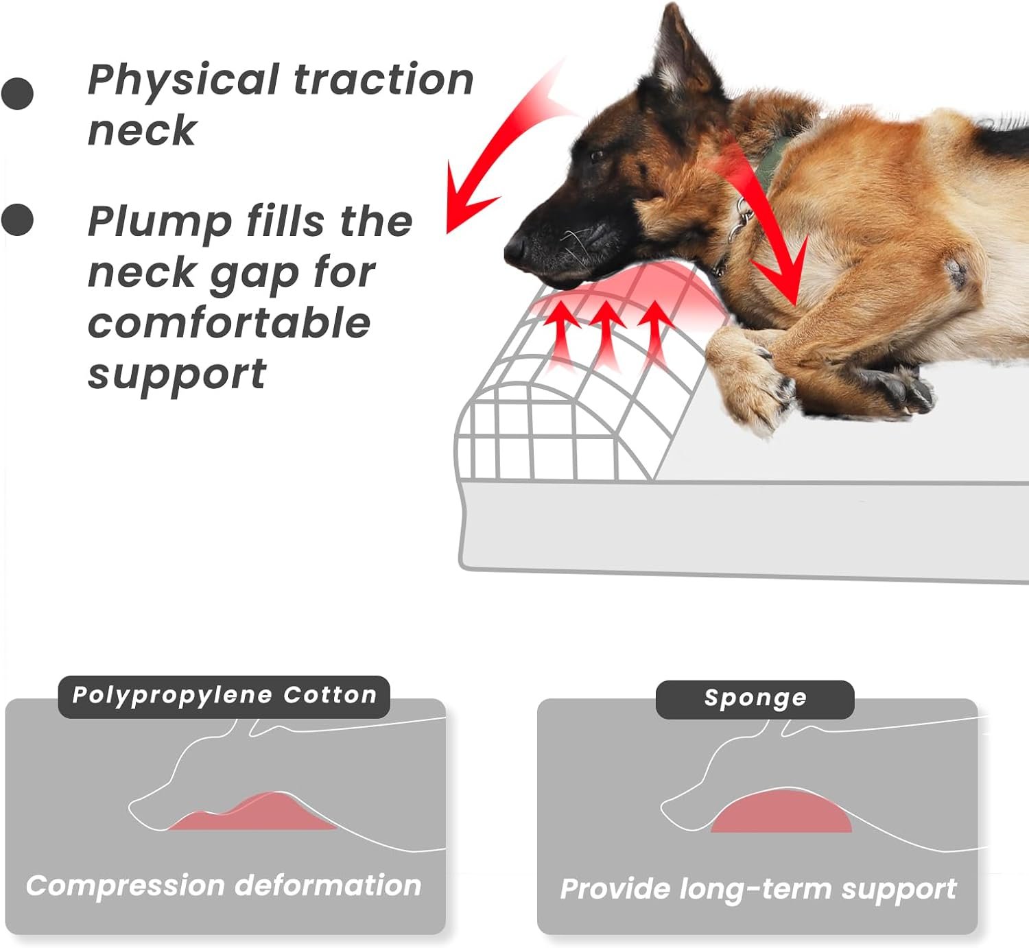 71ftG+ocHPL._AC_SL1500_ Laifug Orthopedic Dog Beds