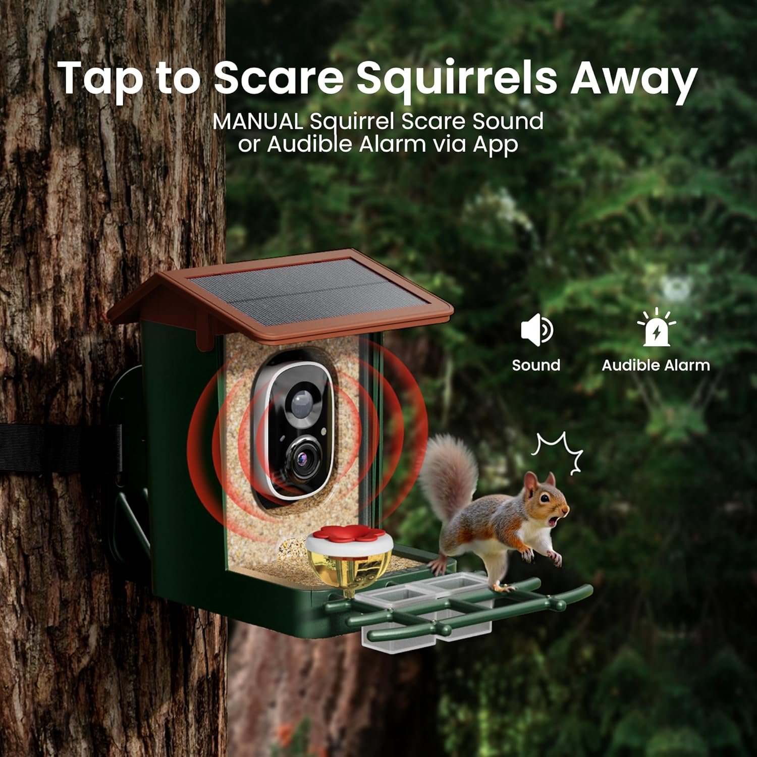 Smart Bird Feeder with Camera Solar Powered 2K HD Video - Image 7