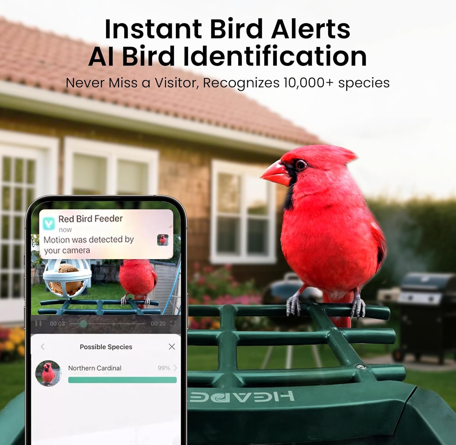 Smart Bird Feeder with Camera Solar Powered 2K HD Video - Image 5