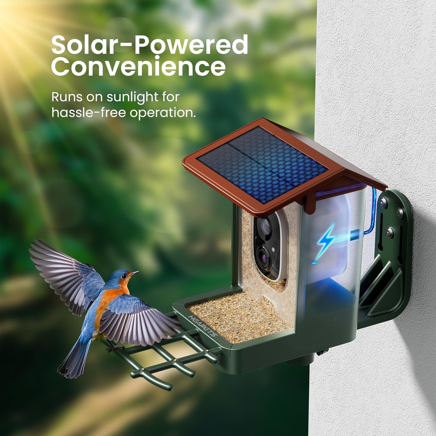 Smart Bird Feeder with Camera Solar Powered 2K HD Video - Image 6