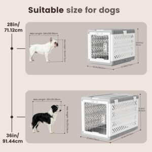 Collapsible Dog Crate for Large/Medium Dogs