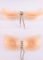 Skin Color Nude Nubra Pack Set