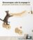 Cat Hammock for Wall,