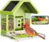 Birdfy Smart Bird Feeder with Camera
