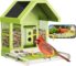 Birdfy Smart Bird Feeder with Camera