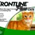 Frontline Plus for Large Dogs 45-88 lbs (Purple)