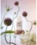 Bloomé Extrait de Parfum