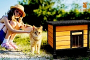 X-ZONE-PET Outdoor Cat House for Cats