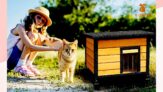 X-ZONE-PET Outdoor Cat House for Cats