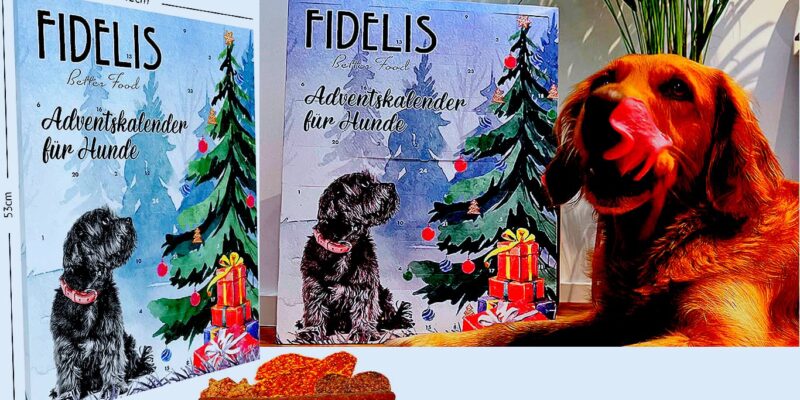 XL Advent Calendar for Dogs “Christmas Tree”